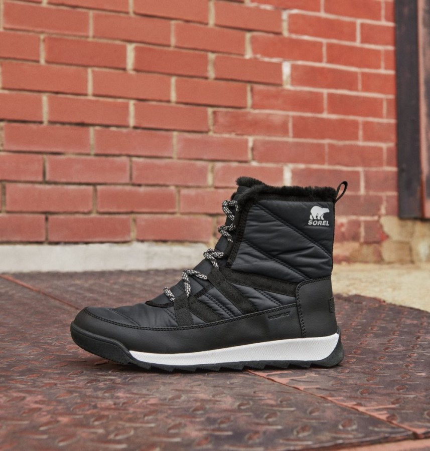Black Women's Whitney Ii Short Lace Winter Boot Sorel Australia