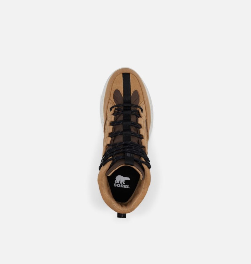 Men's Mac Hill Lite Trace Waterproof Trainer Tawny Buff-Black Sorel Australia