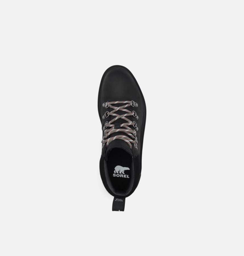 Sorel Australia Black-Jet Women's Hi-Line Hiker Bootie