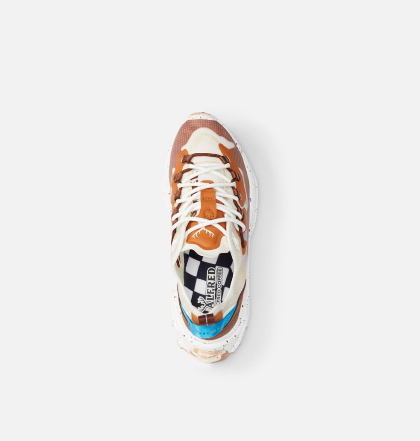 Sorel Australia Light Bisque-Cinnamon Women's Alfred Kinetic Breakthru Tech Lace Sneaker