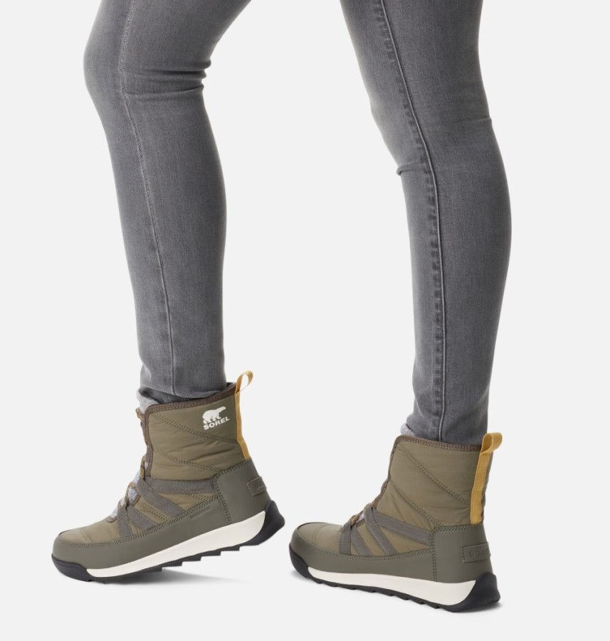 Stone Green-Black Sorel Australia Women's Whitney Ii Short Lace Boot